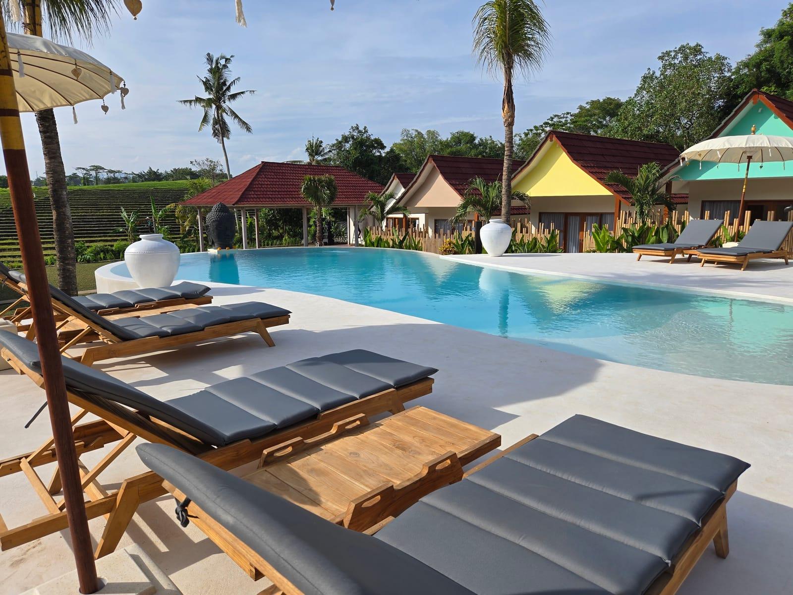 Piscine de United Colors of Bali Nature, face aux rizières